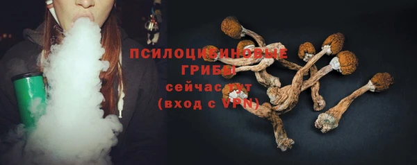 хмурый Кукмор