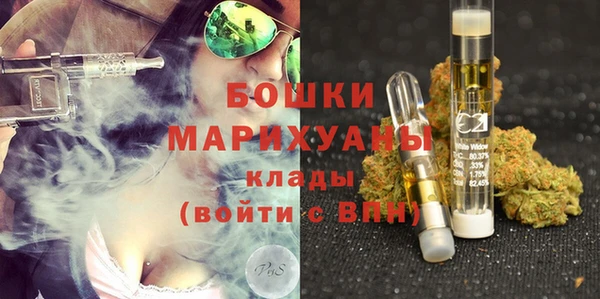 ГАЛЛЮЦИНОГЕННЫЕ ГРИБЫ Краснослободск