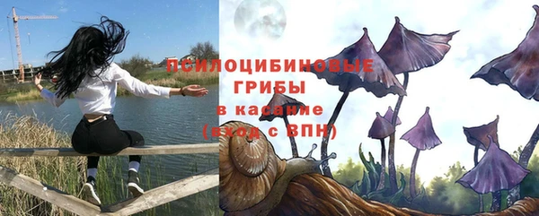 стафф Краснотурьинск