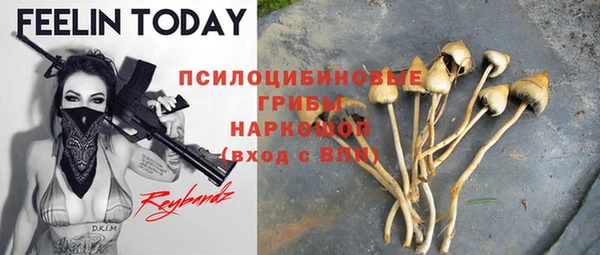 ГАЛЛЮЦИНОГЕННЫЕ ГРИБЫ Краснослободск
