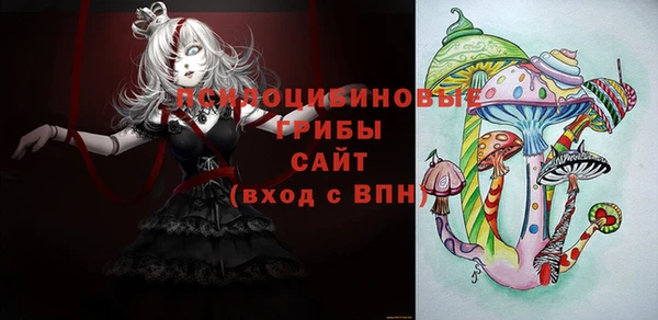ГАЛЛЮЦИНОГЕННЫЕ ГРИБЫ Краснослободск