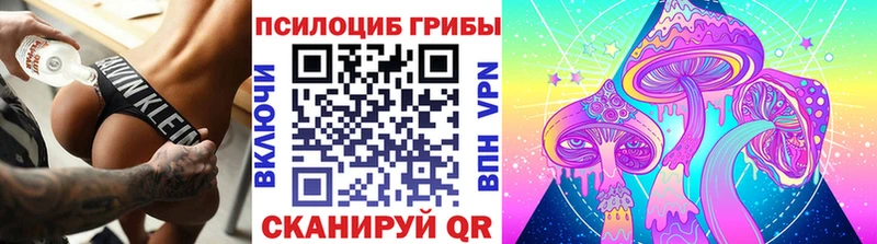 Псилоцибиновые грибы мухоморы  где купить наркоту  Абакан 