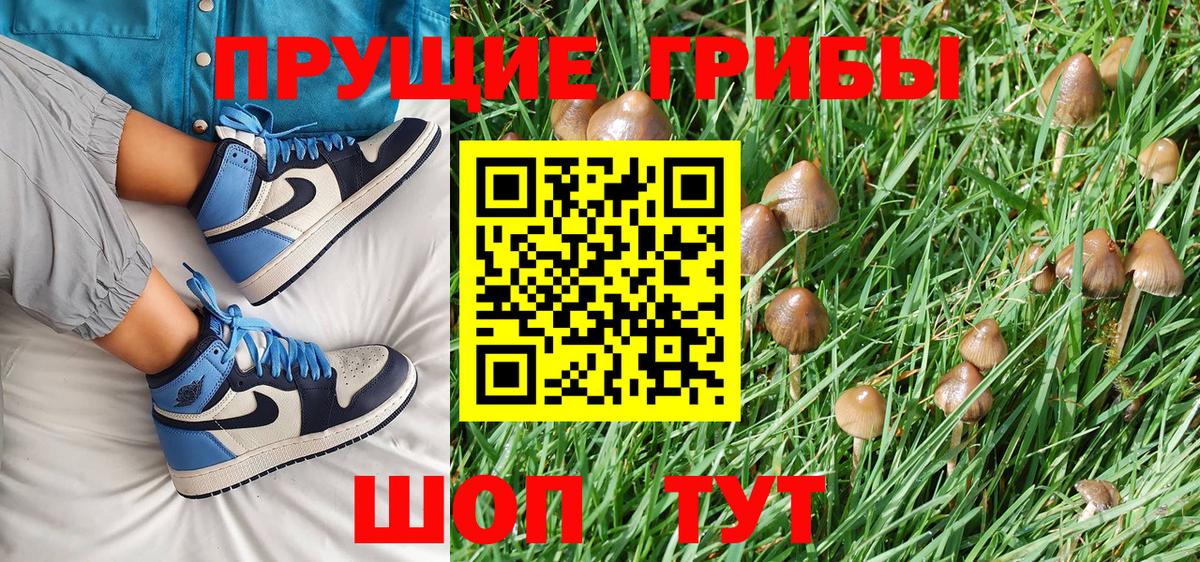 Галлюциногенные грибы ЛСД  Псилоцибиновые грибы Psilocybe  Абакан  Вход с VPN 