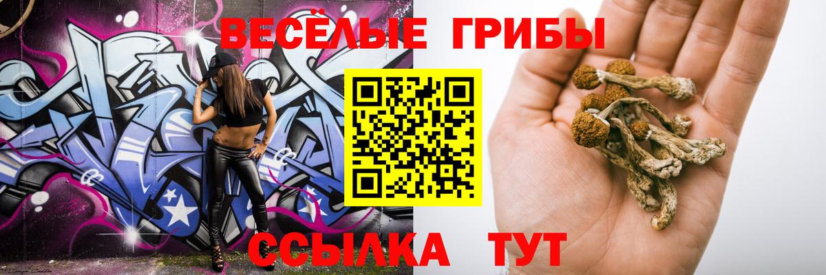 Галлюциногенные грибы прущие грибы  Абакан 