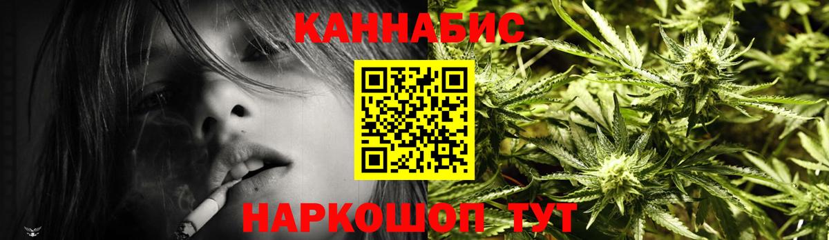 МАРИХУАНА сатива Абакан